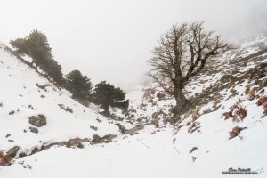Verschneite Berge bei Desulo. Foto: Ivan Pedretti